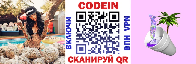 Codein Purple Drank  где можно купить   Мензелинск 