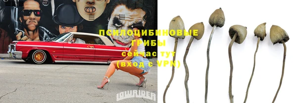 каннабис Богородицк