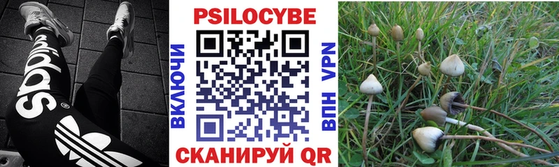 Псилоцибиновые грибы Cubensis  kraken зеркало  Мензелинск 